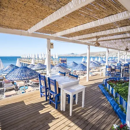 Khai Bodrum